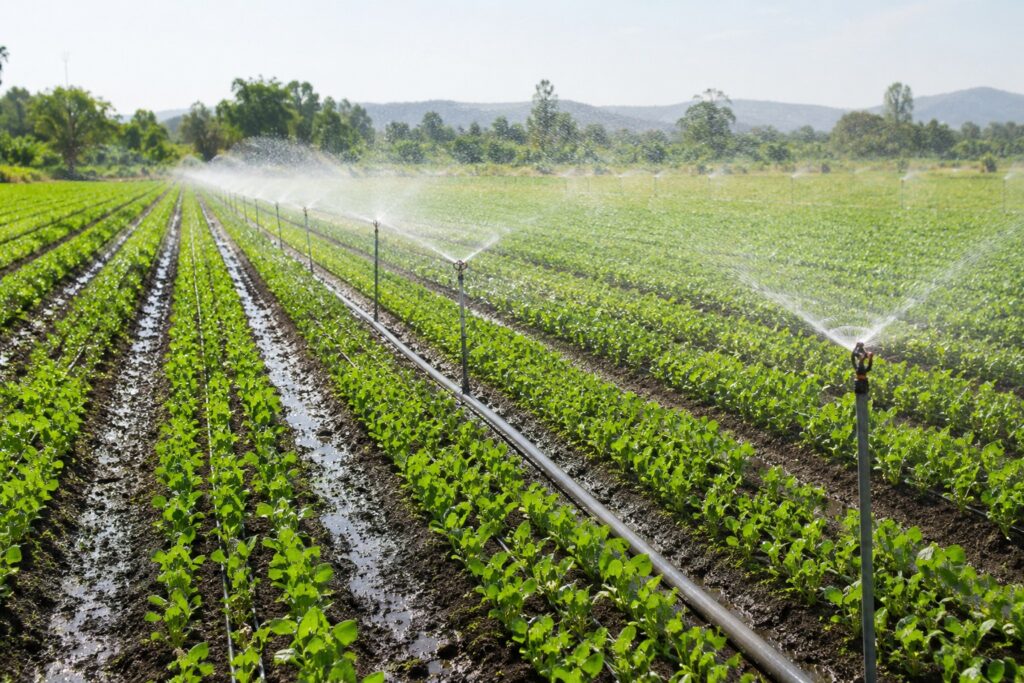 Irrigation Systems